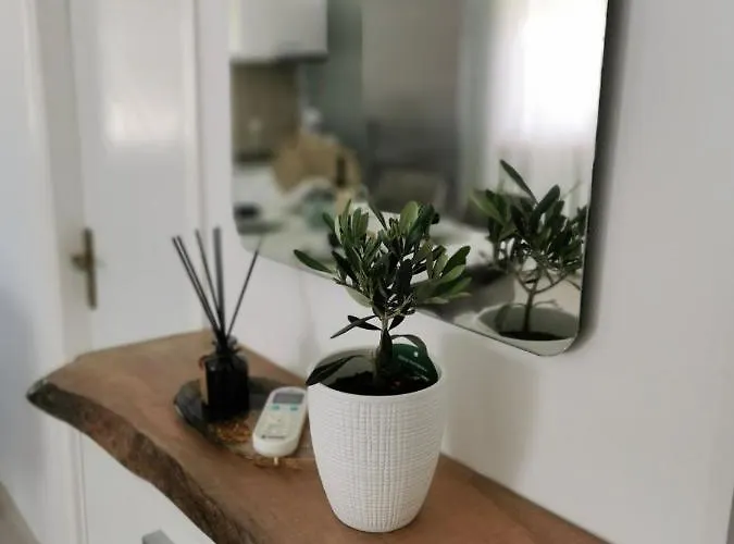 Teo Appartement Medulin