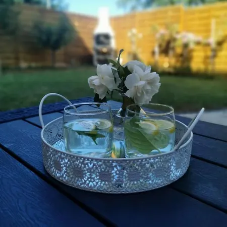Teo 메덜린