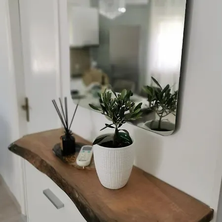 Teo Apartment Medulin